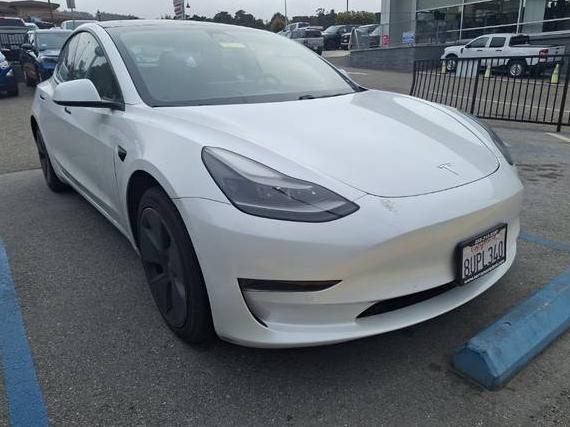 TESLA MODEL 3 2021 5YJ3E1EA1MF878775 image